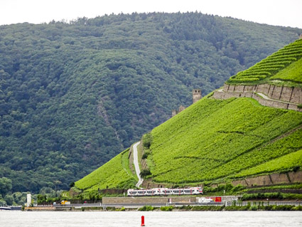 Rhine scenery with Ehrenfels Castle