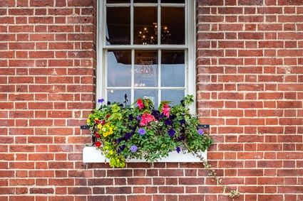 Southampton flowers on wall