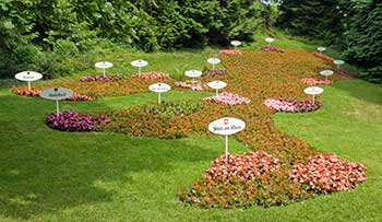 Bodensee or Lake Constant flower map on Mainau