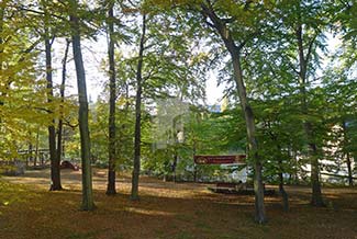 Woods next to Freudenstein Castle