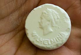 Wilhelmina peppermint