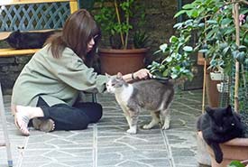 Torre Argentina Cat Sanctuary