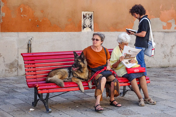 Women with dog in Venice, Italy.