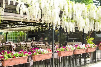 Restaurant on Gran Viale