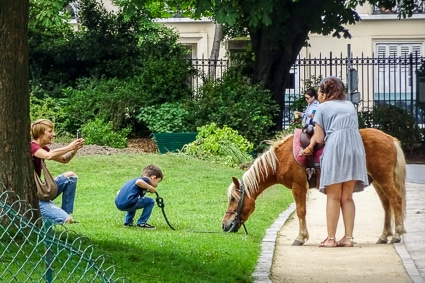 Pony in Parc Montsouris