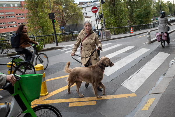 Woman and dog near Canal St-Martin in Paris.